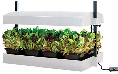 Garland GAL61GW Grow Light Garden Propagator, White, 62x40x20 cm