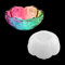 DIYBravo Résine Époxy pour Bol de Lotus, Moule en Silicone de Boîte de Rangement de Porte-stylo, Moule de Rond Assiette Tray Bowl Resin Mold (Lotus)
