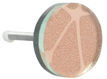 G Decor Türknäufe Glas rund Schrankgriffe Roségold