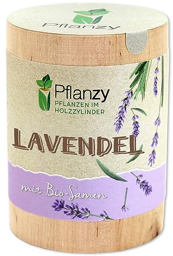 Feel Green Pflanzy Lavendel, Bio Samen, Nachhaltige Geschenkidee (100% Eco Friendly), Grow Your Own/Anzuchtset, Pflanzen im Holzzylinder, Made in Austria