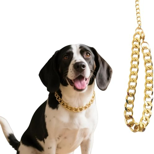 Cwyza Goldene Hundekette, Halsband, goldfarben, 33 cm (Halsumfang 30,5 - 40,6 cm)