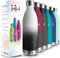HoneyHolly Gourde Isotherme - 1000ML - Gourde Inox isolé à Double Mur, Gourde Sport sans BPA, Bouteille Isotherme Étanche, Processus de revêtement en Poudre - Pour Boissons Chaudes Et Froides