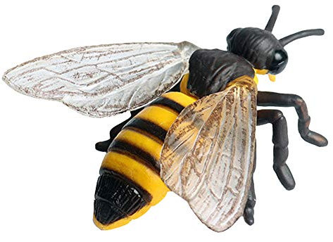 JOKFEICE Realistico Figure di Animali Api Figurine Insetto Giocattolo, Progetto di Scienza, Cake Topper, primi Giocattoli Educativi Di Compleanno Regalo Di Natale per I Bambini I Bambini di Età 3 4 5