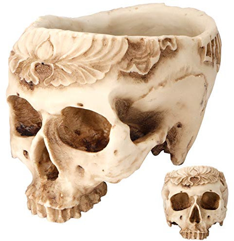 Pot de Fleurs en Forme de Tête de Mort, Ameublement, Ornements, Forme de Décoration, Artisanat de Maison, Jardinières Succulentes, Jardinières Antiques Caractéristiques