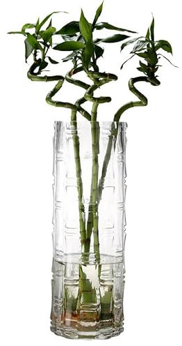 QEEYON Vase à Fleurs en Verre Transparent, 30 cm Hauteur, Diamètre 12 cm, Grand Vase Cylindrique avec Motif Bambou, pour Décoration de Table pour Mariage et Fête,Décoration de Bureau