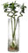 QEEYON Vase à Fleurs en Verre Transparent, 30 cm Hauteur, Diamètre 12 cm, Grand Vase Cylindrique avec Motif Bambou, pour Décoration de Table pour Mariage et Fête,Décoration de Bureau