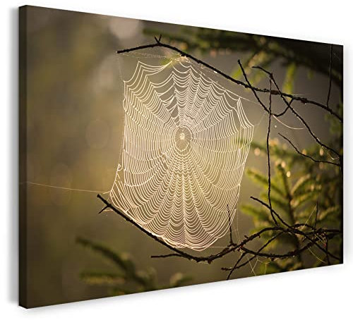 Printistico Canvas picture (80x60 cm) spider webs, natural branch, plant, spider, insect, warm color, animal photo, nature photography, real wood frame with hook, handmade in Germany