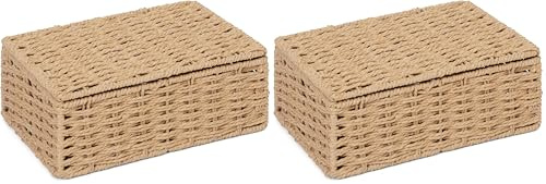 Arpan Natural Paper Rope Storage Basket Box With Lid (Small) (Pack of 2)