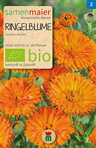 Samen Maier 724 Ringelblume orange (Bio-Ringelblumensamen)