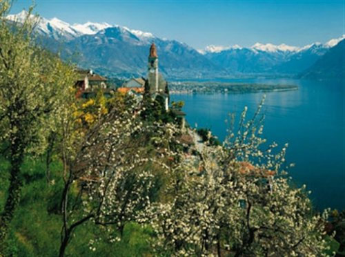 Ravensburger 17018 Jigsaw Puzzle 3,000 Pieces Spring at Lake Maggiore in Ticino