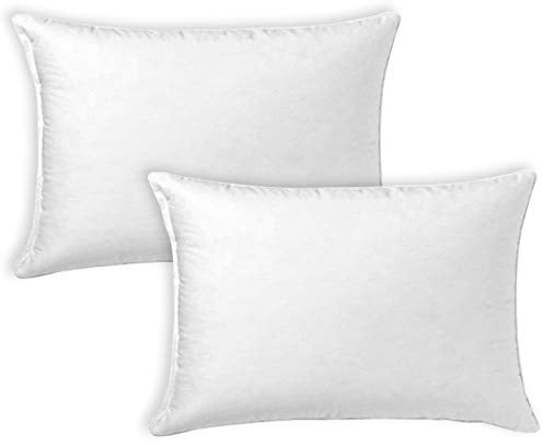 MERCURY TEXTIL- Relleno de Cojin Juego de 2/4 Unid (2 Rellenos, 30X50 cm) | Super Suave Mullido, Antialergico, Fibra Hueca de Alta recuperacion, para Sofá,Cama,Coche
