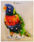 BSM E72510250 Steckspiel – Puzzle der Papagei