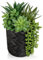 Oairse 25cm Artificial Succulents in Pots Faux Succulents Plants Fake Succulent Arrangement Potted Plants with Black Ceramic Vase for Office Desk Bathroom Shelf Living Room Indoor Home Decor