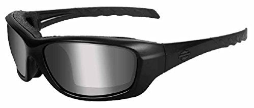HARLEY-DAVIDSON Wiley X Gravity PPZ Motorrad Brille, polarisierend