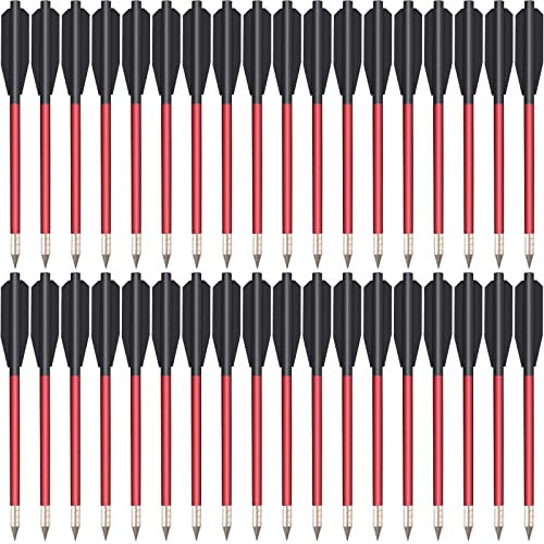 WANVZMR 6,3 Aluminium Armbrust Bolzen Pfeile für 50 lb / 80lb Pistole Armbrust Präzisionsziel,Schießpraxis im Freien und kleine Jagd,Pistolenarmbrust Bolzen Armbrustpfeile (36Stück)