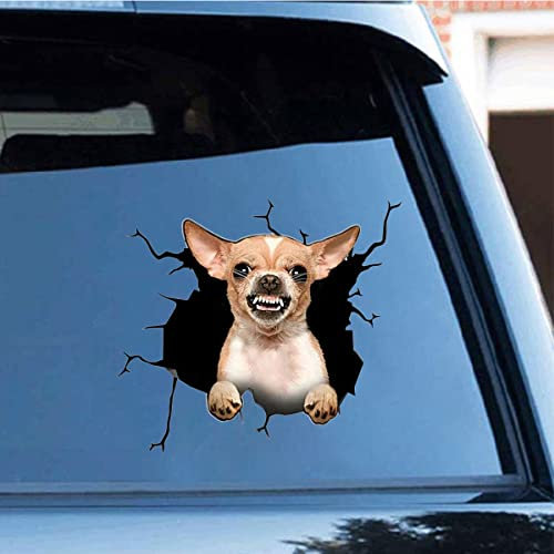 Zpahq Chihuahua-Auto-Aufkleber, 30 x 30 cm, 3D-Vinyl, wasserdicht, für Wand, Laptop, Auto, Fenster, LKW, Stoßstange, Kühlschrank