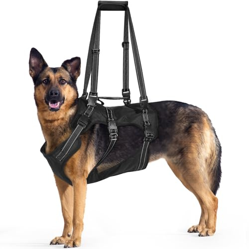 BENCMATE 2-in-1 Hundegeschirr abnehmbare Hebeschlinge Hebegeschirr alte Hunde Reha OP verstellbares Brustgeschirr große Hunde bis 45 kg atmungsaktiv reflektierende Nähte Schwarz XXL