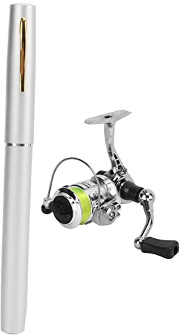 Mini-Angelrute in Stiftform aus Aluminiumlegierung, Mini-Angelruten- und Rollenkombinationen in Stiftform Taschen-Angelrute mit einziehbarer Angel mit Spinnrolle für Angelbegeisterte (Silber)