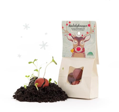 Rudolphnasen – Rote Blumenmurmeln von Die Stadtgärtner | Rote Samenkugeln | Ideal als kleines Geschenk oder Mitgebsel zu Weihnachten, zum Nikolaus oder für Adventskalender