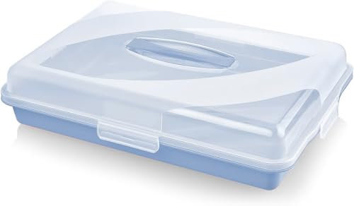 Best House | Plastic Cake Storage Box | SKY BLUE| 1Pc | BPA Free | Cake and Pastry Carrier With Handle | Rectangular Lockable Food Container - L 45cm x W 31cm x H 10cm, Pack of 1