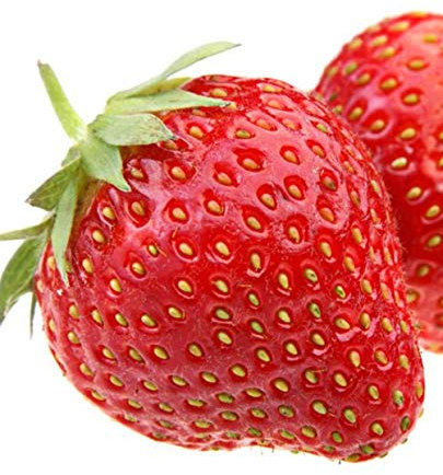 Planta de fresas de frutas gigantes 'ANNABELLE' - en maceta: Ø 14 cm