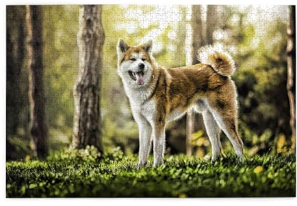 Puzzles, Puzzles für Erwachsene, anspruchsvolles Puzzle, 1000 Teile, Bilderpuzzle aus Holz, Akita Inu im Wald, Haustiere, Hunde, HDR, Sommer-Akita