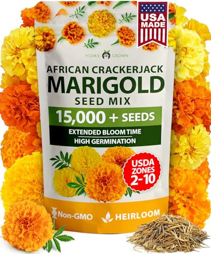 HOME GROWN Crackerjack Marigold Seeds 2.05oz - 15,000 Flower Seeds Planting Outdoor, Large Bulk Pack, High Germination, Companion Planting, Orange (Tagetes erecta)