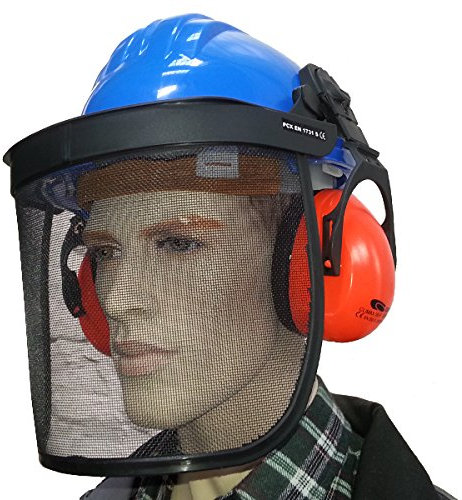 Bauhelm mit Gesichtsschutz und Gehörschutz Kopfschutz Helm Forsthelm Netz blau