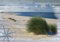 Forwall Fototapete Dünen Strand Meer Ostsee Holzoptik Natur Landschaft Wohnzimmer Schlafzimmer Vlies Tapete Wandtapete UV-Beständig Montagefertig (10025, VEXXL (312x219 cm) 3 Bahnen)