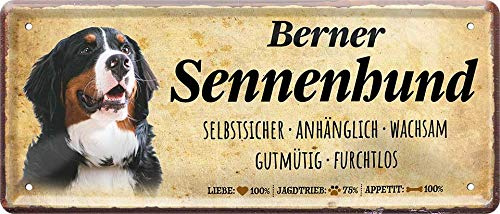 schilderkreis24 - Blechschilder Spruch Hund “Berner Sennenhund“ Deko Hundeschild Hauseingang Eingang Geschenk Geburtstag oder Weihnachten Hundebesitzer 28x12 cm