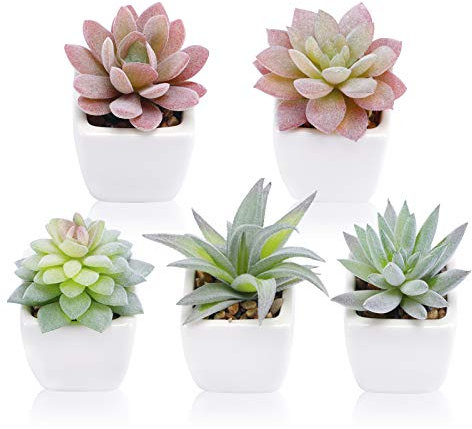 FUNARTY Lot de 5 plantes succulentes artificielles en pot, petites plantes succulentes en pot, mini plantes succulentes en pot en céramique blanche, plantes de bureau pour la maison, la salle de bain,