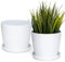 PECZEKO Macetero Mate, macetero de plástico, Maceta Decorativa para Plantas Grandes y pequeñas, Juego de 2 macetas para Flores