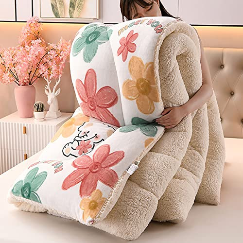 Hosrme Bettdecke, Dicker Lamm-Kaschmir, Winter Steppdecke Dicker Lamm-Kaschmir, Winterwarm Decke Winter Weiche Warme Bettdecke Bettwäsche,Plüsch Winterdecke, 200×230cm(4kg)