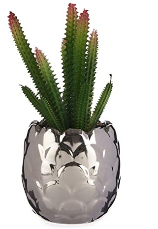 Ibergarden Plante décorative argentée Cactus céramique Plastique (8 x 20 x 8 cm)