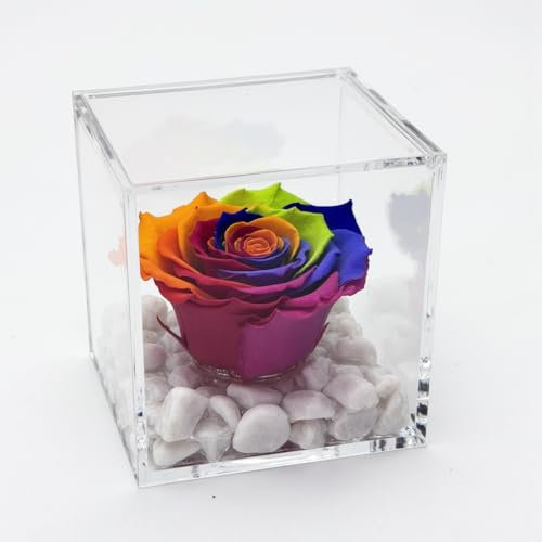 Cubo Rosa Stabilizzata Multicolor Profumata 10 cm, Rosa Rainbow Eterna Vera | Idea Regalo Natale,San Valentino Fidanzata, Amica, Compleanno, Bomboniera Laurea | Made in Italy Multicolor - 1810