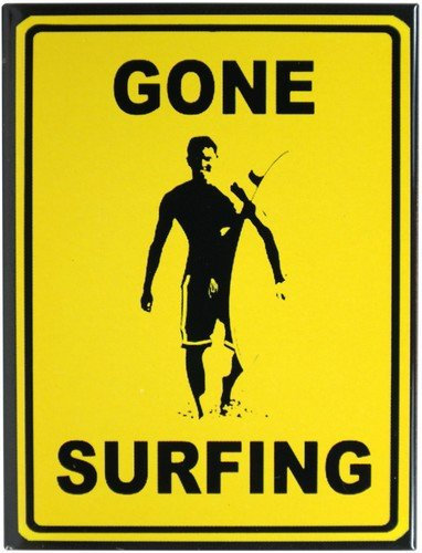 Kühlschrank Metall Magnet 6x8 cm  Gone Surfing Nostalgie Tin Sign EMAG199