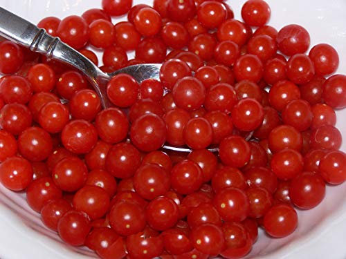 Portal Cool Liveseeds - Tomaten-Rot Tomberry Kleinste Tomaten in den feinsten Samen -10 Welt