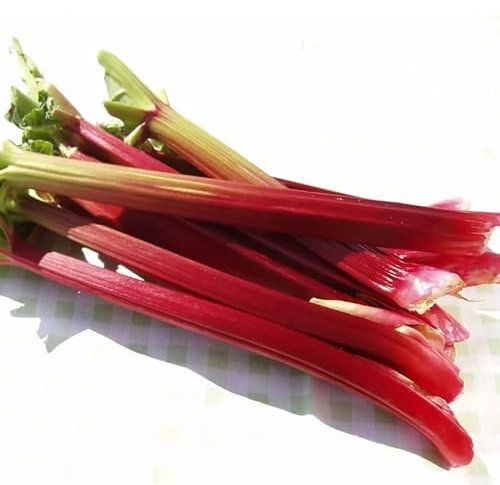 kiskick 1 Beutel Gartensamen, nährstoffreiche Marmelade, die rote Stängel, rustikale Chenopodiaceae-Samen für den Hof, Gartenpackung, Kräutersamen zum Pflanzen und im Freien herstellt, Rhabarbers