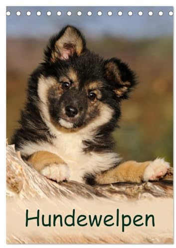 Hundewelpen (Tischkalender 2026 DIN A5 hoch), CALVENDO Monatskalender: Niedliche Welpen zum Liebhaben (CALVENDO Tiere)