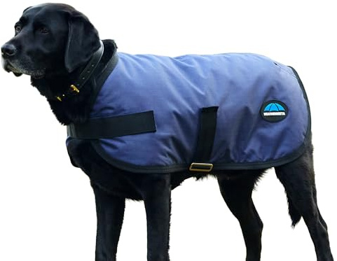 WeatherBeeta ComFiTec Classic Waterproof Dog Coat, Navy, 35cm