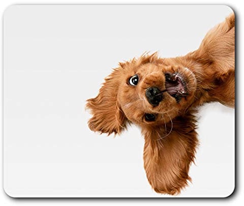 English Cocker Spaniel Puppy Dog Mouse Mat Pad Computer PC Laptop Gaming Office Home Desk Accessory Gadget 21501