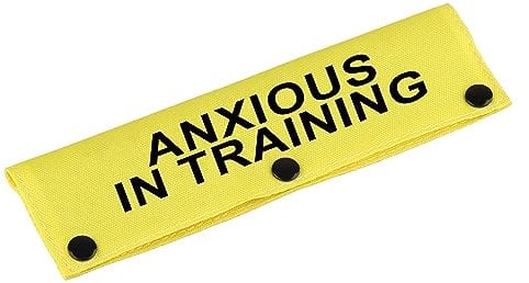 Funny Dog Leash Sleeve Have Anxious In Training Dog Leash Wrap Sleeve Pet Birthday Gift for Pets(Anxious In Training-YE Sleeve)