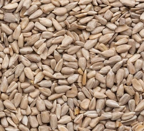 Superpet Premium Sunflower Hearts For Wild Birds (20KG)