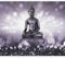 murando Fotomurales Buda Zen Spa 450x315 cm XXL Papel pintado tejido no tejido Decoración de Pared decorativos Murales moderna de Diseno Fotográfico Oriente h-C-0011-a-d