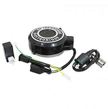 allumage Cyclo Compatible avec Peugeot 103 electronique 12v Petit Cone (avec Bobine et cdi) -p2r-