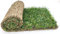 POWERS TO FLOWERS - PRATO A ROTOLI, ERBA A ROTOLO VERA, ERBA DA GIARDINO, 40cm x 123cm, pianta vera