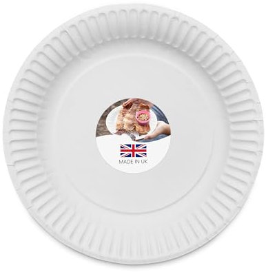 We Can Source It Ltd - 6 Biodegradable White Paper Plates - 100% Compostable Heavy-Duty Disposable Plates - 500 Pack