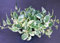 Portal Cool Pothos N'Joy Talea Epipremnum Odendron Room Fresh Cut:Seeds Only