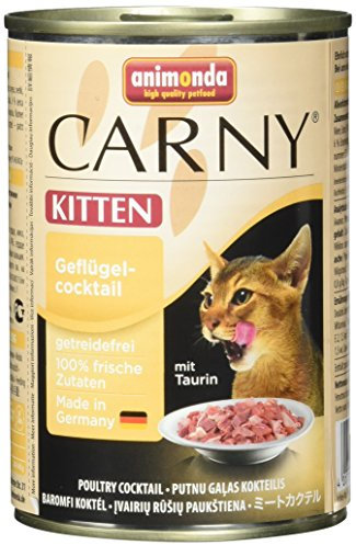 animonda Carny Kitten Katzenfutter, Nassfutter Katzen bis 1 Jahr, 6 x 400 g , Geflügel-Cocktail, 400g (6er Pack)