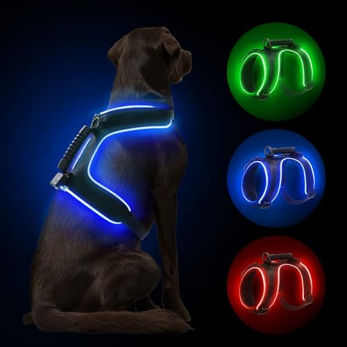 MASBRILL LED Hundegeschirr Leuchtend, Leuchtgeschirr für Hunde Aufladbar Verstellbar LED Leucht Brustgeschirr mit Griff für Klein Mittelgroße Grosse Hund Beleuchtetes Hundegeschirr(Schwarz Blau,S)